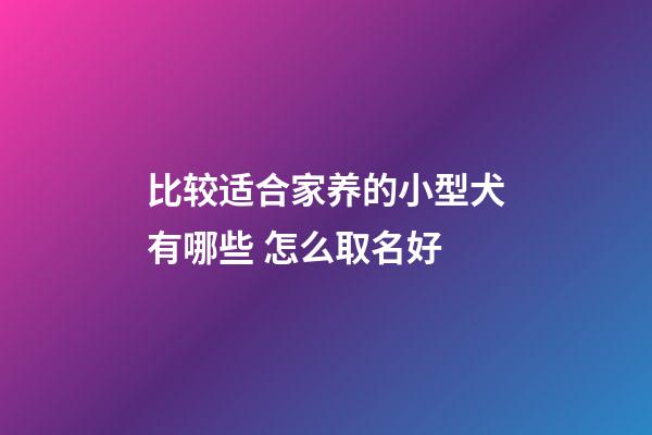 比较适合家养的小型犬有哪些 怎么取名好